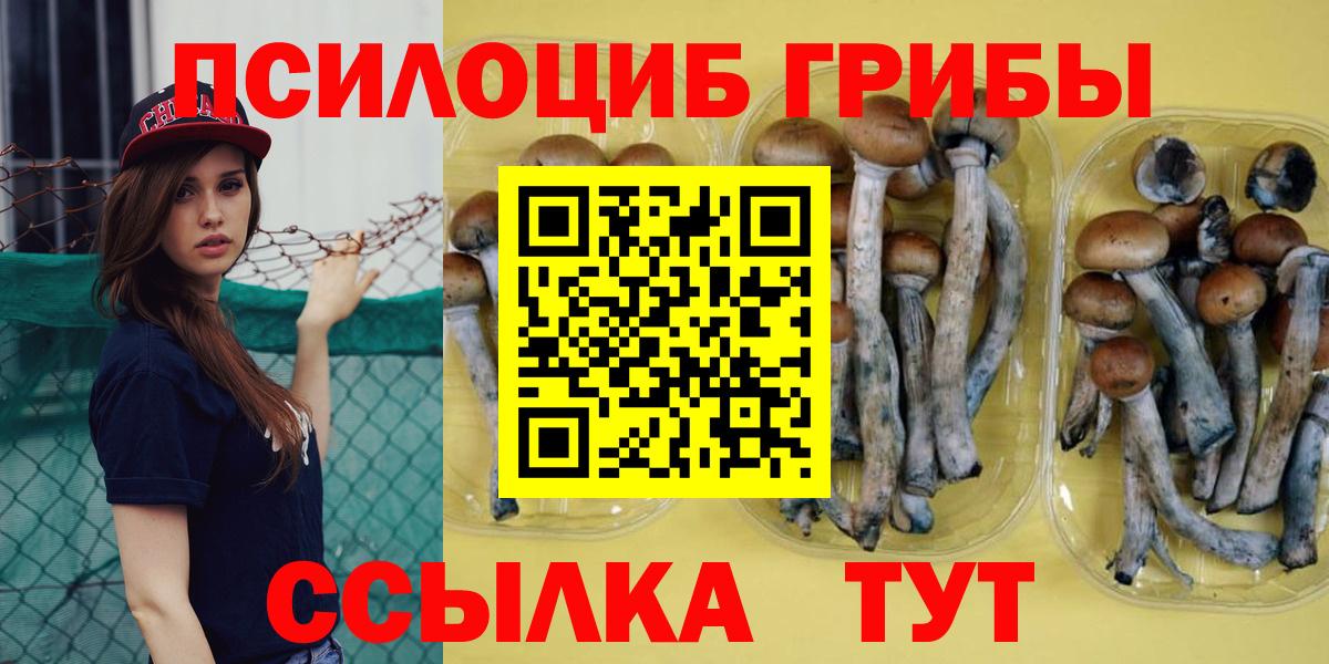 Псилоцибиновые грибы Magic Shrooms  Вход с VPN  Лесной  купить наркотики сайты  Псилоцибиновые грибы Magic Shrooms 